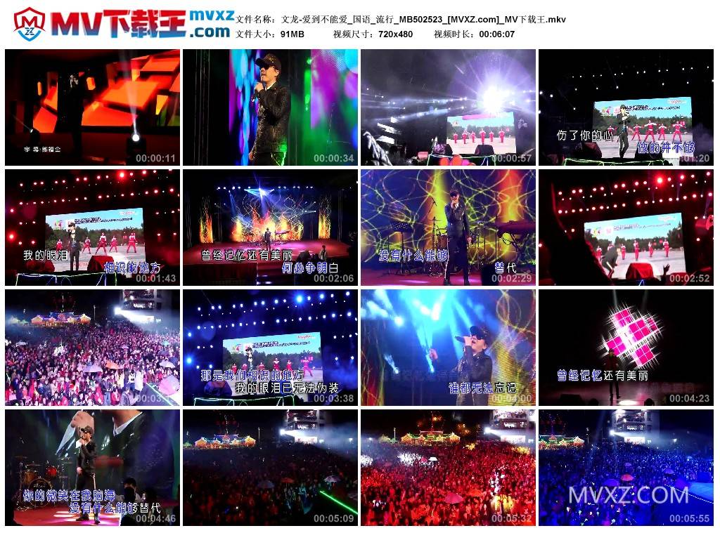 文龙-爱到不能爱_国语_流行_MB502523